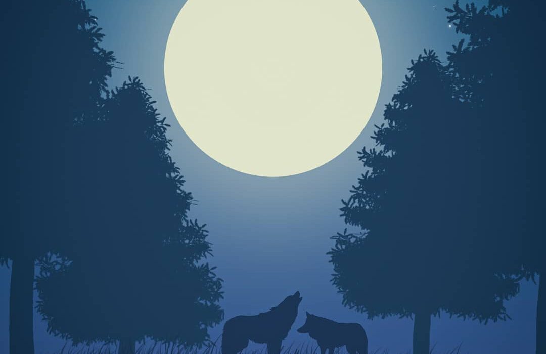 nighttime