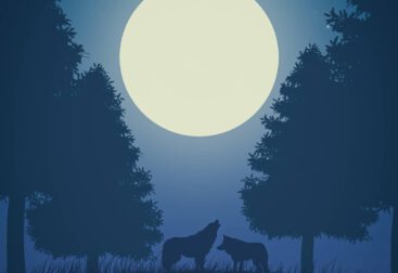 nighttime