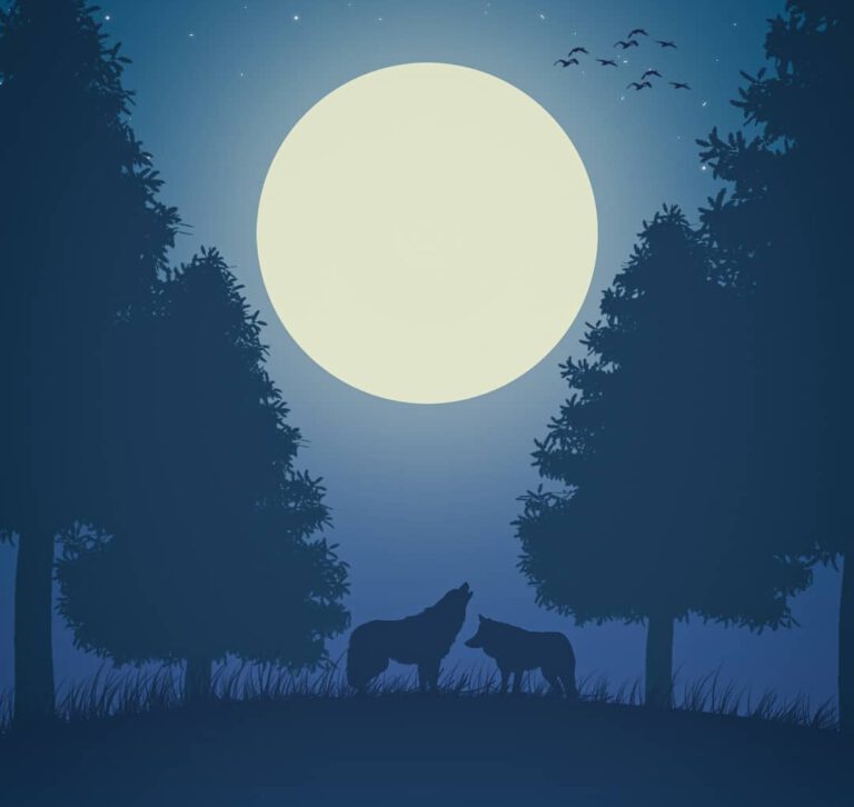 nighttime